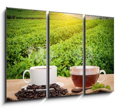 Obraz 3D tdln - 105 x 70 cm F_BB160363480 - Coffee or tea in the morning on the wooden table and the Tea plantation background