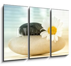 Obraz 3D tdln - 105 x 70 cm F_BB16097577 - Spa