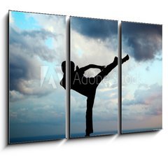 Obraz   Kung fu at the edge, 105 x 70 cm