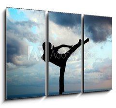 Obraz 3D tdln - 105 x 70 cm F_BB16108587 - Kung fu at the edge