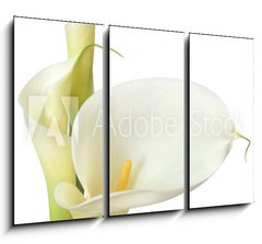 Obraz 3D tdln - 105 x 70 cm F_BB16158957 - White Calla Lilies