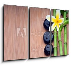 Obraz 3D tdln - 105 x 70 cm F_BB16266252 - Spa still life background