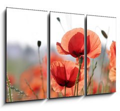 Obraz 3D tdln - 105 x 70 cm F_BB16525466 - mohnblumen