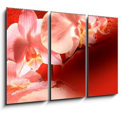 Obraz 3D tdln - 105 x 70 cm F_BB16571895 - Orchid red background