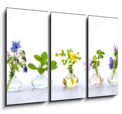 Obraz 3D tdln - 105 x 70 cm F_BB166862791 - Herbs for alternative medicine, natural cosmetics and kitchen