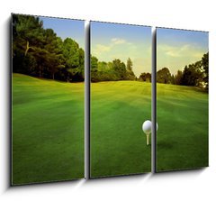 Obraz 3D tdln - 105 x 70 cm F_BB16695103 - golf