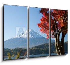 Obraz 3D tdln - 105 x 70 cm F_BB1676055 - mount fuji in fall vii