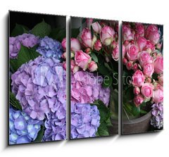 Obraz 3D tdln - 105 x 70 cm F_BB16803758 - Blumen - kvtiny