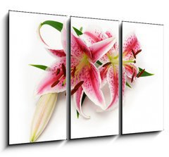 Obraz 3D tdln - 105 x 70 cm F_BB16841573 - Lily