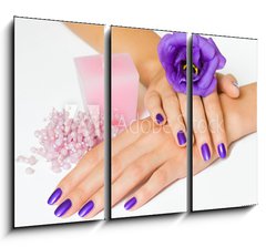 Obraz 3D tdln - 105 x 70 cm F_BB16907510 - Hands with purple manicure and flower, pink candle and beads