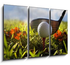 Obraz 3D tdln - 105 x 70 cm F_BB16911245 - Golf club and ball in grass