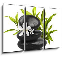 Obraz   Spa still life on white background, 105 x 70 cm