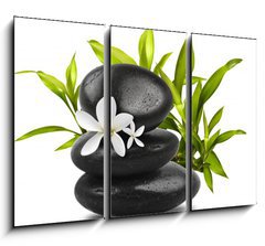 Obraz 3D tdln - 105 x 70 cm F_BB16965002 - Spa still life on white background