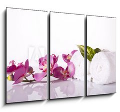 Obraz 3D tdln - 105 x 70 cm F_BB17627044 - wellness