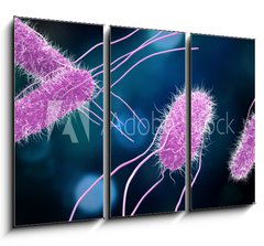Obraz 3D tdln - 105 x 70 cm F_BB176894218 - 3D illustration of Salmonella Bacteria. Medicine concept.