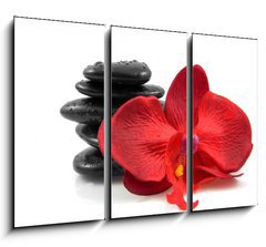 Obraz 3D tdln - 105 x 70 cm F_BB18007850 - Stacked black spa stones with silk orchid over white background