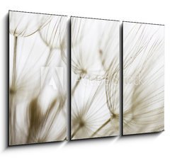 Obraz 3D tdln - 105 x 70 cm F_BB180759298 - Dandelion seed closeup