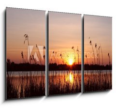 Obraz 3D tdln - 105 x 70 cm F_BB18109096 - Abendhimmel im Schilf