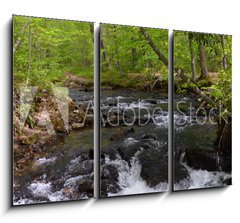 Obraz 3D tdln - 105 x 70 cm F_BB182860867 - Whitewater Stream