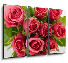 Obraz 3D tdln - 105 x 70 cm F_BB18403490 - Bunch of roses - Banda r