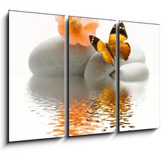 Obraz 3D tdln - 105 x 70 cm F_BB18479744 - Papillon galet