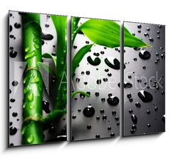 Obraz 3D tdln - 105 x 70 cm F_BB18901252 - Bamboo