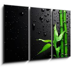 Obraz 3D tdln - 105 x 70 cm F_BB18901258 - Bamboo over Black