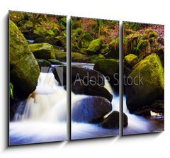 Obraz 3D tdln - 105 x 70 cm F_BB19178751 - flowing stream