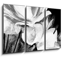 Obraz 3D třídílný - 105 x 70 cm F_BB197308949 - lbild: Weie Rosen