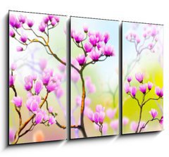 Obraz 3D tdln - 105 x 70 cm F_BB197644555 - Panoramik iek Manzaras