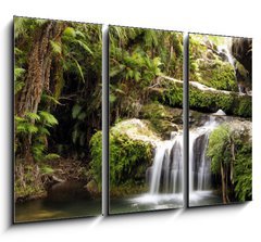 Obraz 3D tdln - 105 x 70 cm F_BB19824757 - Rainforest waterfall