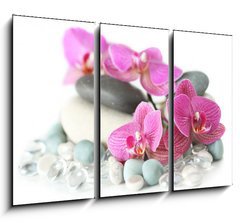 Obraz 3D tdln - 105 x 70 cm F_BB19964009 - Orchid laying on stones