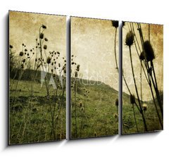 Obraz 3D tdln - 105 x 70 cm F_BB20013462 - Vintage nature