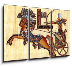 Obraz 3D tdln - 105 x 70 cm F_BB20074338 - Egyptian papyrus - Egyptsk papyrus