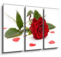 Obraz 3D tdln - 105 x 70 cm F_BB2008228 - red rose