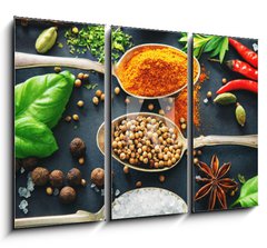 Obraz 3D tdln - 105 x 70 cm F_BB201727339 - Various herbs and spices on dark background