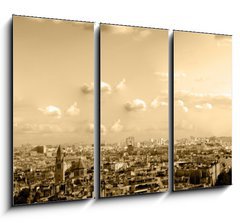 Obraz 3D tdln - 105 x 70 cm F_BB2039944 - les toits de paris