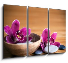 Obraz   Composition zen  fleurs orchide et pierres, 105 x 70 cm