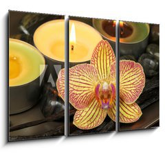 Obraz 3D třídílný - 105 x 70 cm F_BB20507256 - Orchid and vanilla in spa therapy