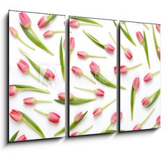 Obraz   Pink tulip pattern on the white bacjkground., 105 x 70 cm