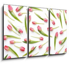 Obraz 3D tdln - 105 x 70 cm F_BB205206437 - Pink tulip pattern on the white bacjkground.