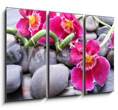 Obraz 3D tdln - 105 x 70 cm F_BB20850599 - Orchideenbl ten auf Kieselsteinen