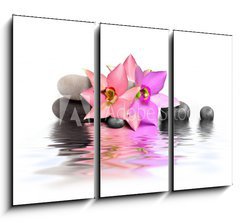 Obraz 3D tdln - 105 x 70 cm F_BB20947031 - Orchidee et Beaute