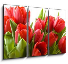 Obraz 3D tdln - 105 x 70 cm F_BB21477013 - Tulips from Holland