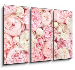 Obraz 3D tdln - 105 x 70 cm F_BB215246503 - Summer blossoming delicate rose on blooming flowers festive background, pastel and soft bouquet floral card