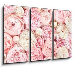 Obraz   Summer blossoming delicate rose on blooming flowers festive background, pastel and soft bouquet floral card, 105 x 70 cm