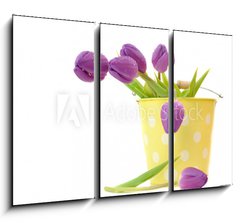 Obraz 3D tdln - 105 x 70 cm F_BB21581456 - Wet Purple Tulips