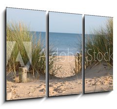 Obraz 3D tdln - 105 x 70 cm F_BB21978364 - Beach Path Through Dunes