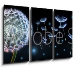 Obraz 3D tdln - 105 x 70 cm F_BB220799750 - Pusteblumen und Glhwrmchen