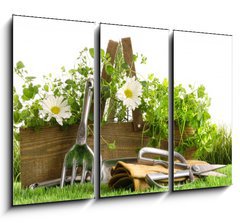 Obraz 3D tdln - 105 x 70 cm F_BB22249018 - Fresh herbs in wooden box on grass
